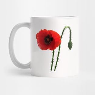 Red Poppy and Bud Mug